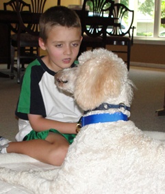 Autism Service Dog
