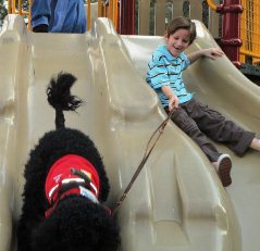 Autism Assistance Dog, Bruster