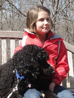 Service Dog Poodle