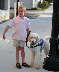 Poodle - Autism Assistance Dog